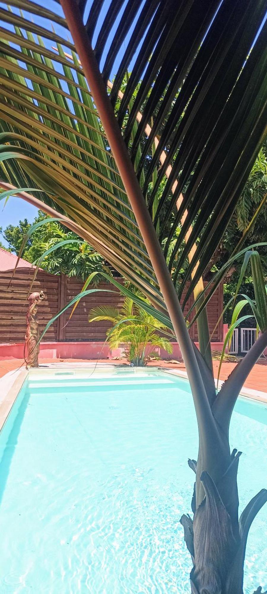 La Canopee Enchantee, Chambres D'Hotes, Piscine, Proche Aeroport, Gare Maritime 萨莱比梅 外观 照片